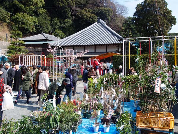 露店が並ぶ弘香幼稚園