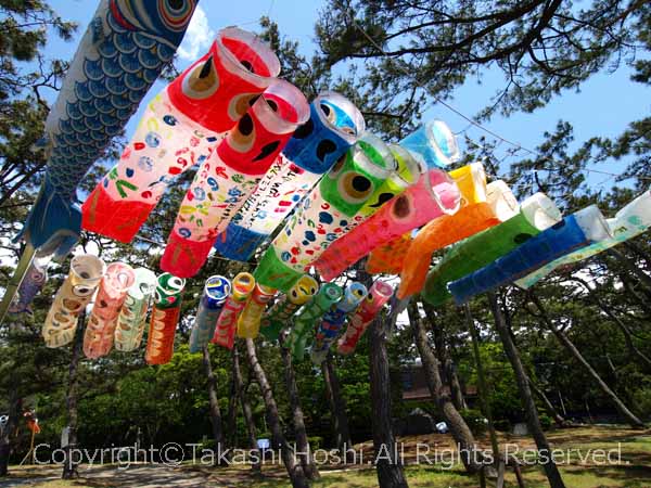 こいのぼりフェスティバル 沼津 沼津市観光ガイド 駿河湾 百景