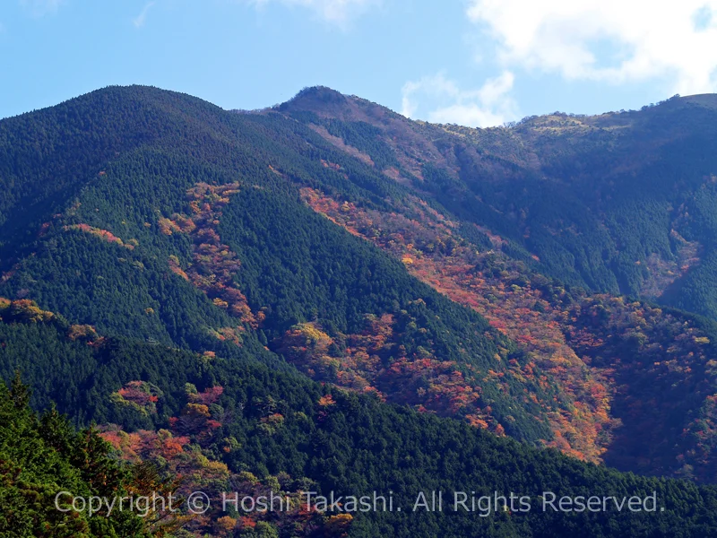 有東木の山々
