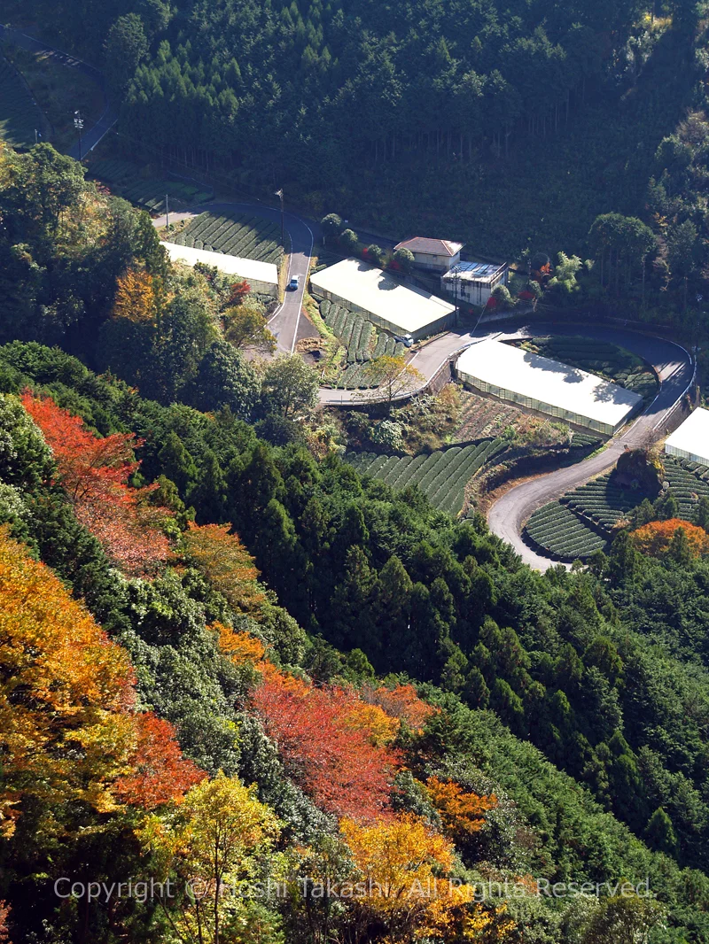 有東木のつづら折りの道