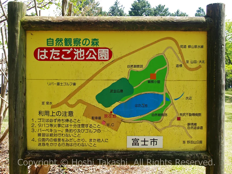 自然観察の森 はたご池公園
