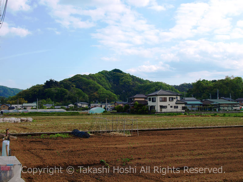 韮山城跡