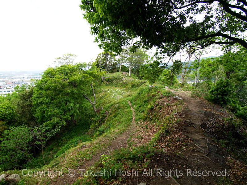 韮山城 本城