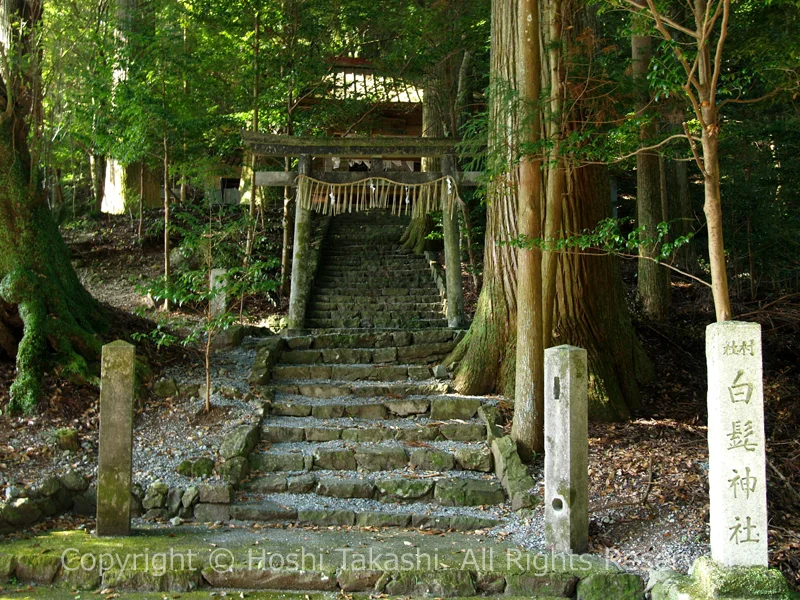 有東木白髭神社