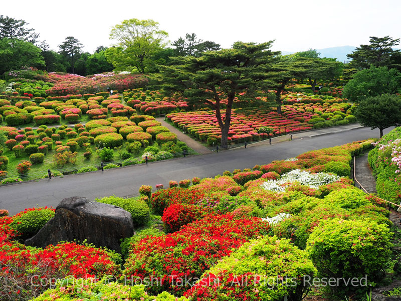 小室山公園