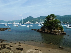 下田湾と寝姿山の眺め