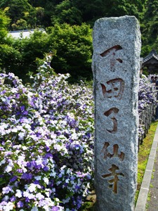 下田了仙寺