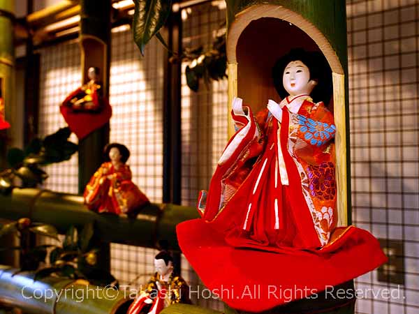 小室山公園つばき園の伊東MAGARI雛