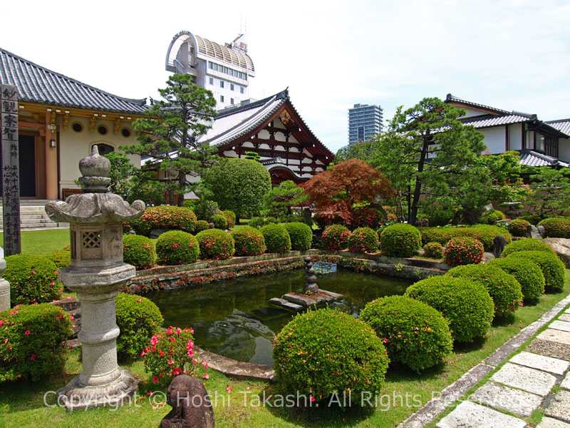 宝泰寺の庭