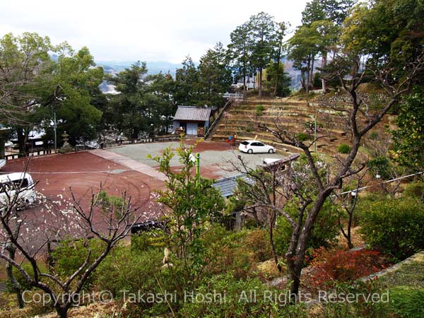 国体相撲会場だった大仁神社