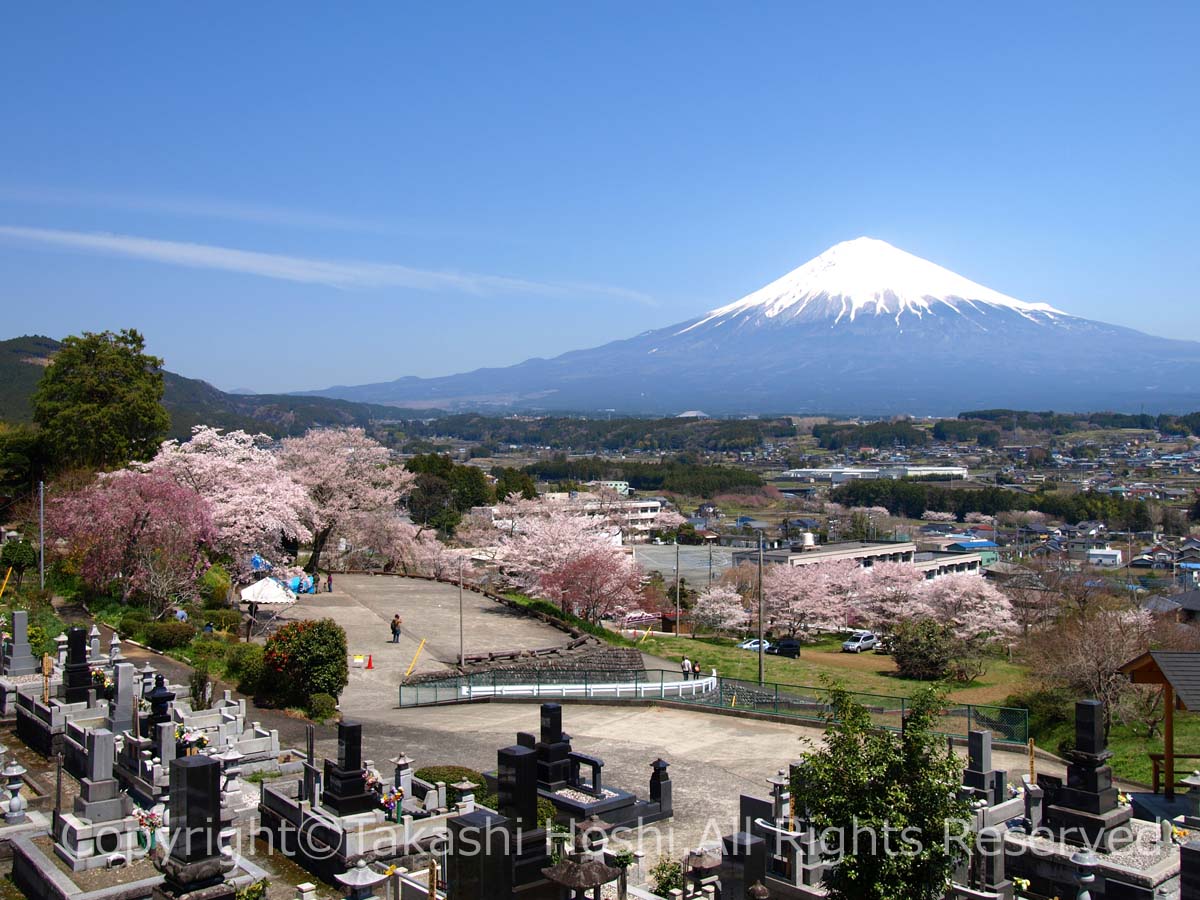 興徳寺の墓地上からの遠景富士