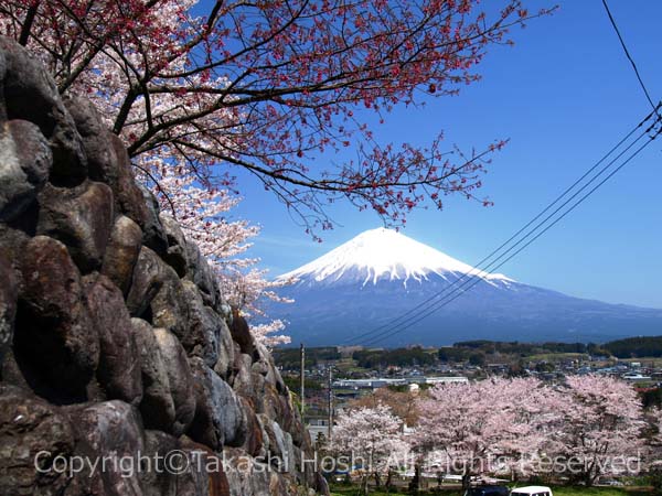 興徳寺の石垣と富士山