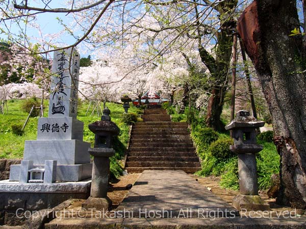 興徳寺参道石段