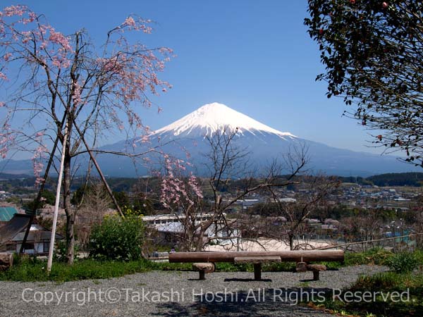 興徳寺の展望ベンチから見た富士山