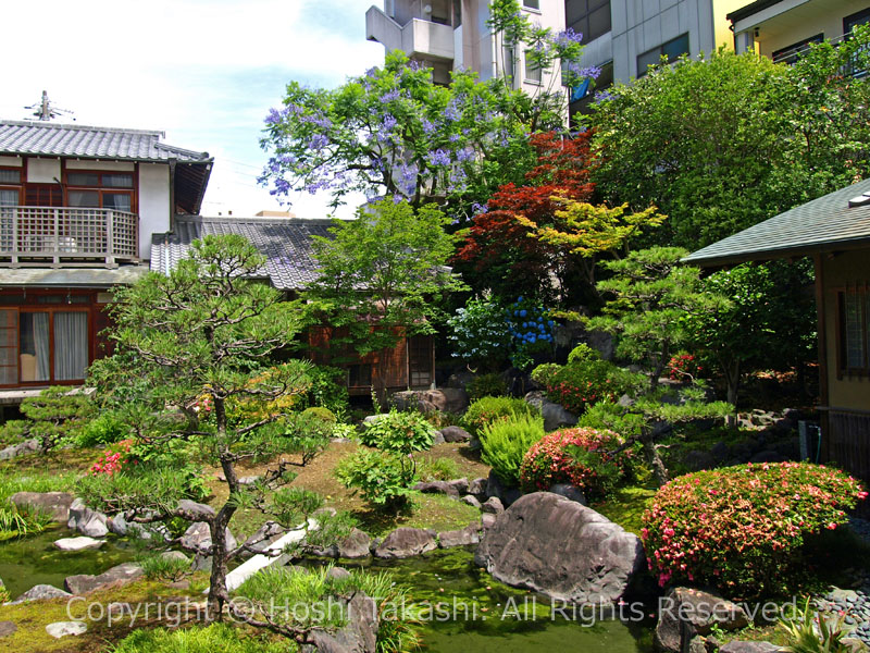 宝泰寺の庭