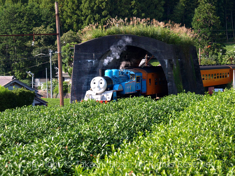 日本一短いトンネルを抜けるトーマス