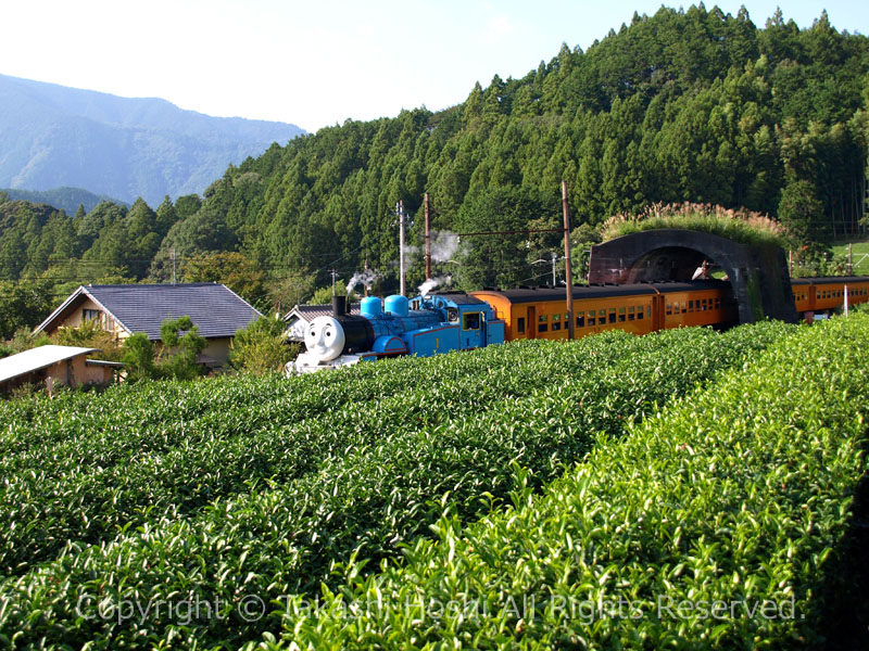 地名のトンネルを行くきかんしゃトーマス