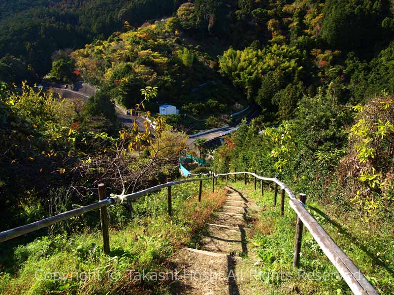 円山花木園展望台からの入口の眺め