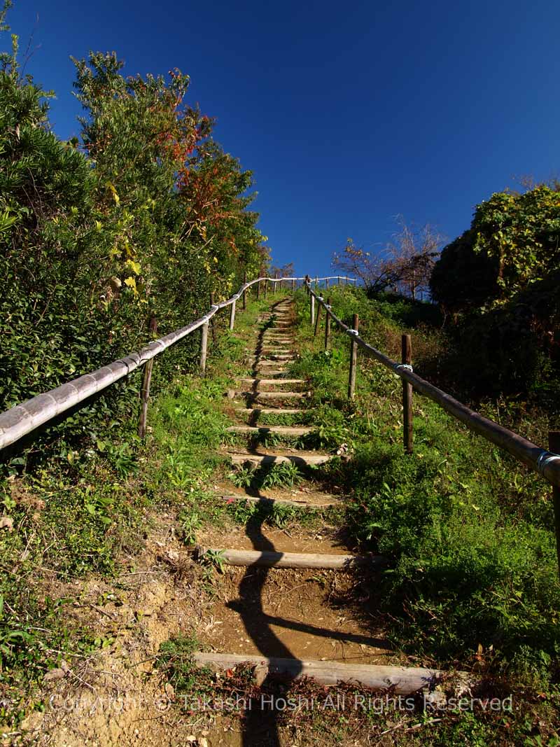 円山花木園の展望台への階段