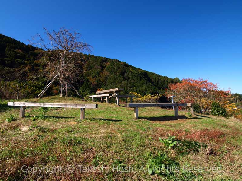 円山花木園 展望台