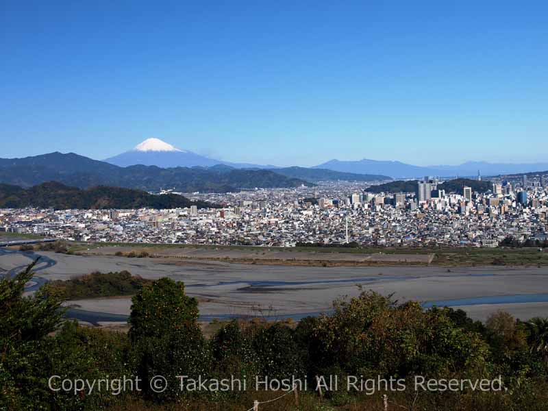 円山花木園からの静岡の中心市街地