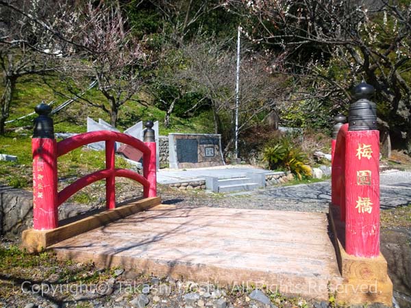 久能梅園と言われる久能梅林の梅園橋