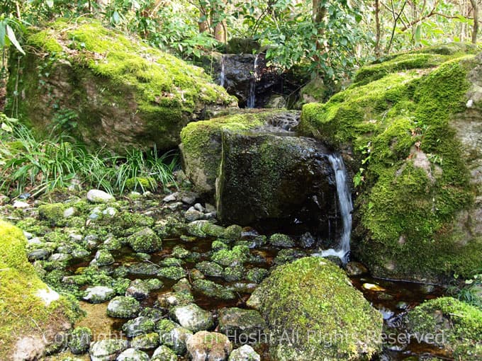 東山旧岸邸の庭園