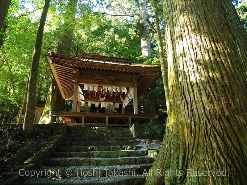 有東木白髭神社の大スギと舞殿