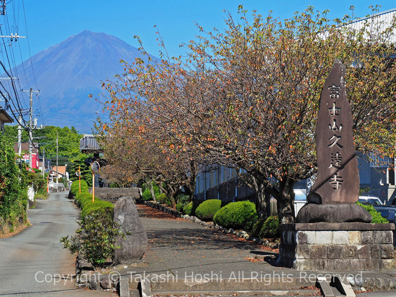 富士山久遠寺の参道