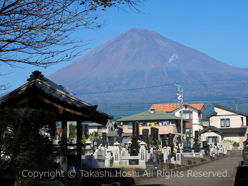 小泉久遠寺の墓地越しの富士山