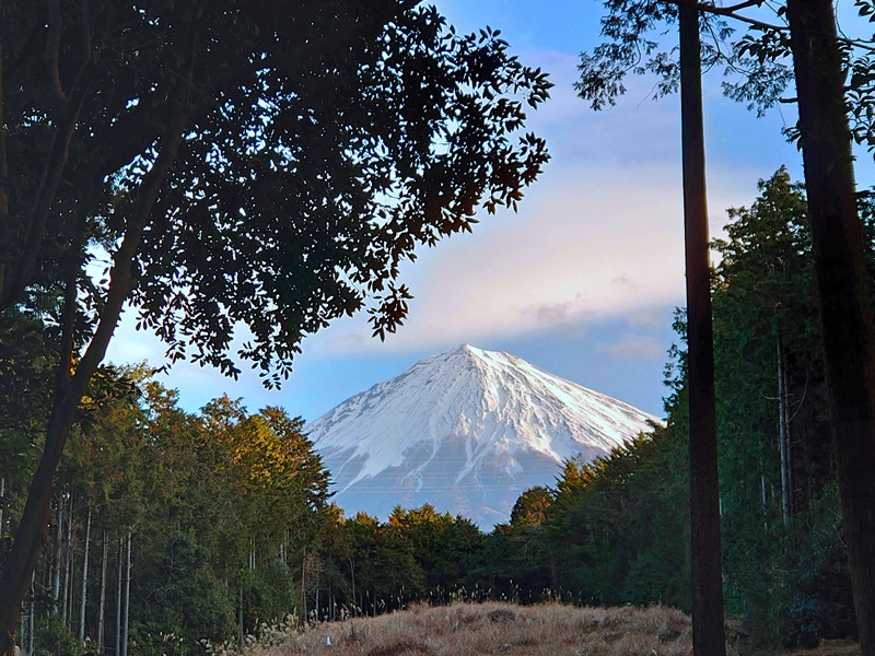 山宮浅間神社からの富士山