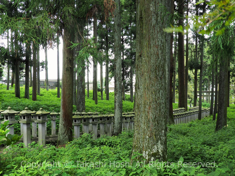 山宮浅間神社の石燈籠の参道