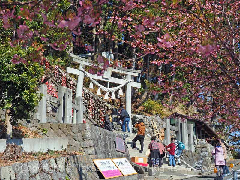 素盞鳴神社 入口