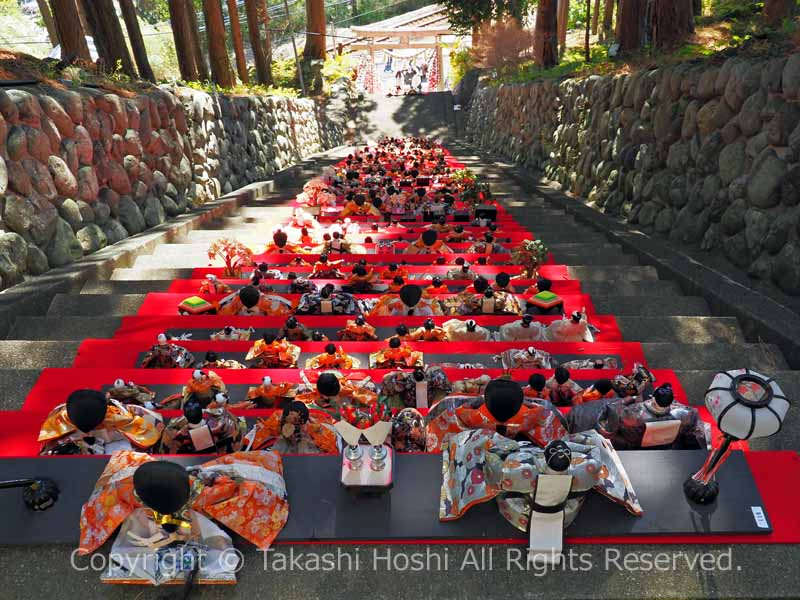 石段上から見下ろす素盞鳴神社雛段飾り