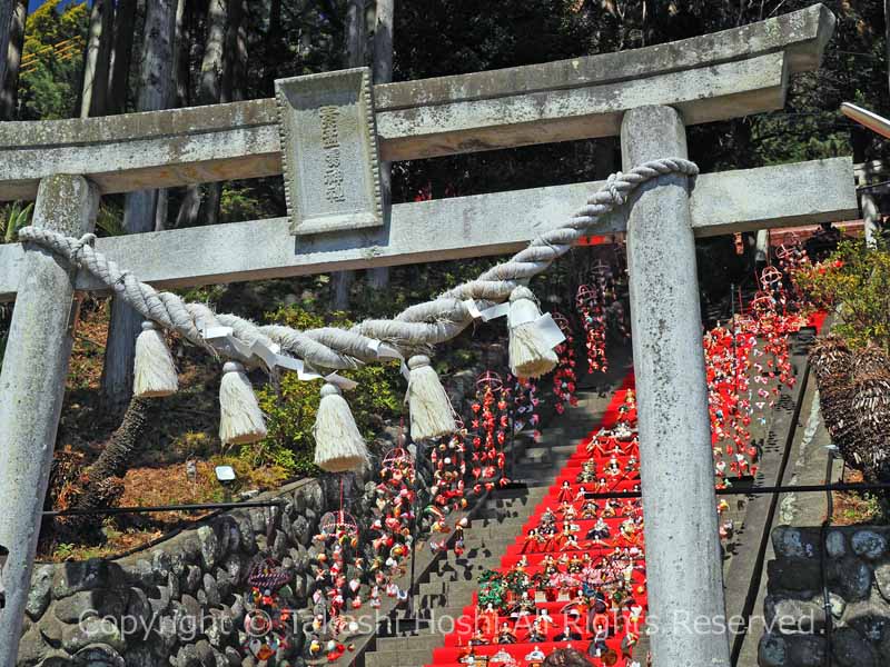 素盞鳴神社 鳥居