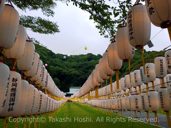 ズラリと並ぶ万灯みたま祭の2万個の提灯