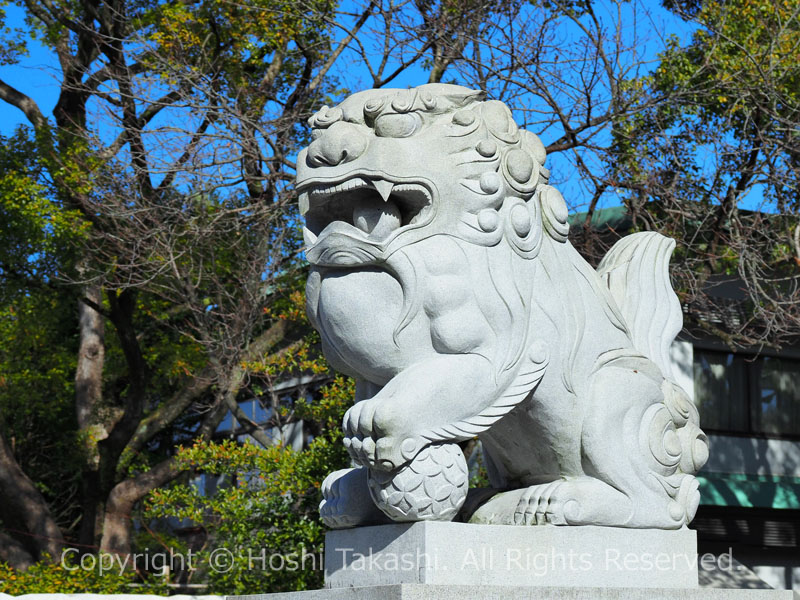 富知六所浅間神社の狛犬