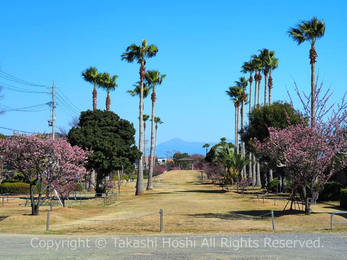 清水清見潟公園