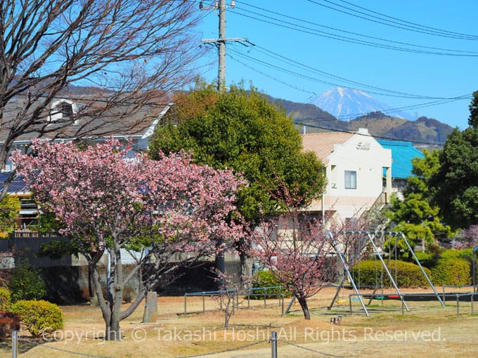 清水清見潟公園より望む富士山