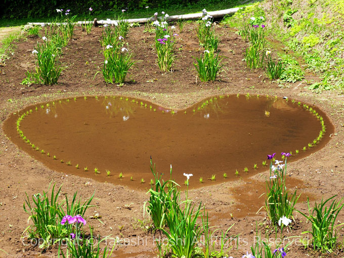 伊豆高原花しょうぶ園のハート池