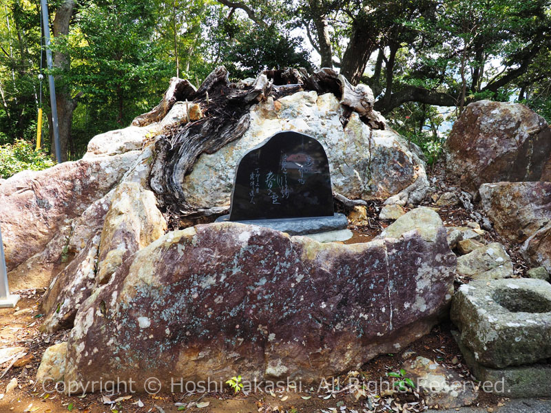 天神神社の幸田露伴句碑