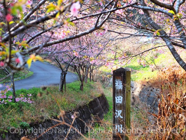 福田沢川