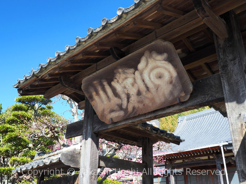 常栄山の扁額