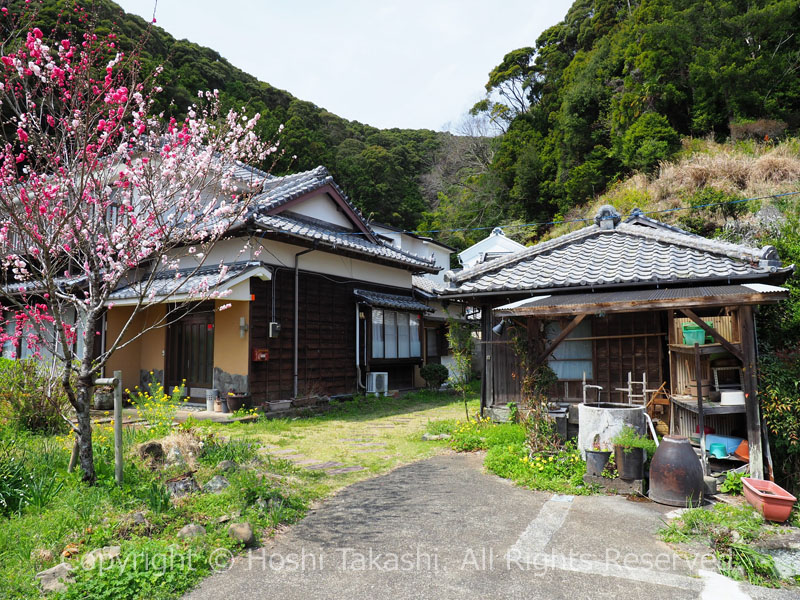 しだれ桃の里 鈴木邸