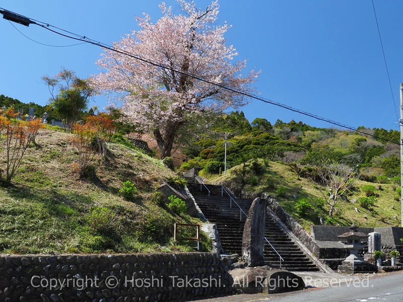 妙松寺の参道入口