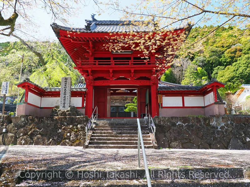 妙松寺の山門