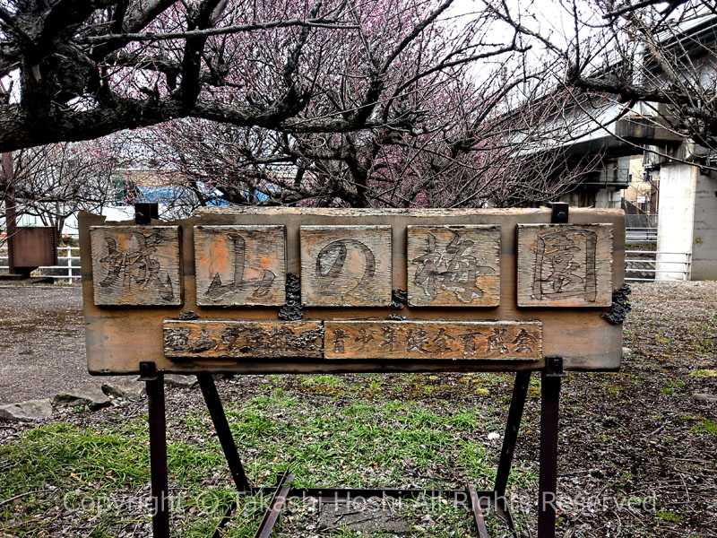 城山の梅園の看板