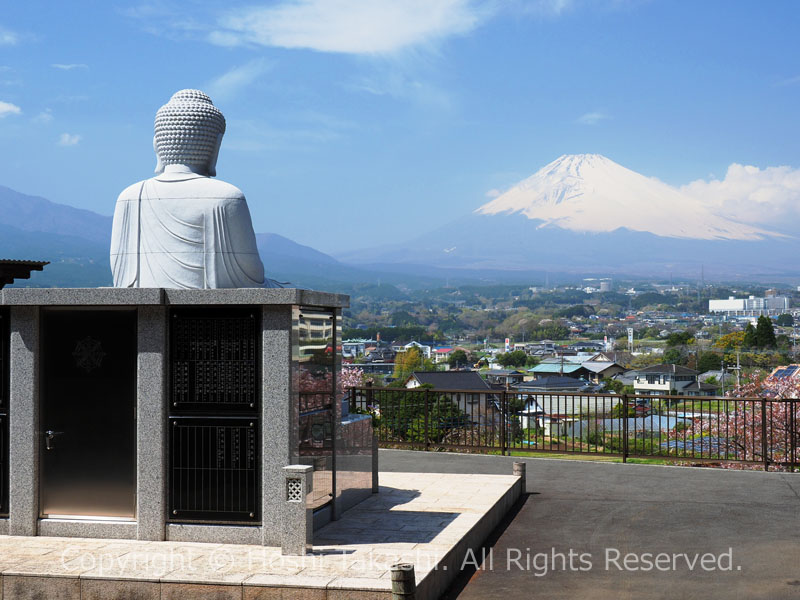 富士山を真正面に望む大森大佛