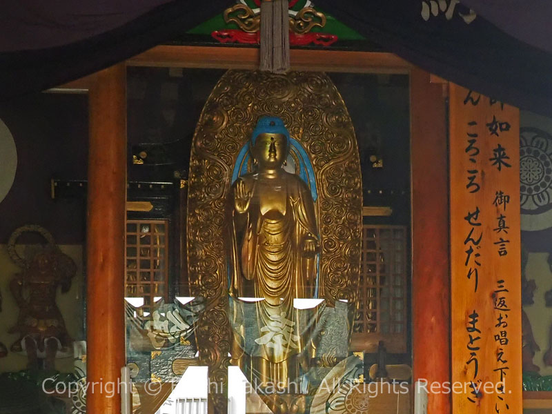 醫王山 円永坊 真福寺跡の薬師如来像