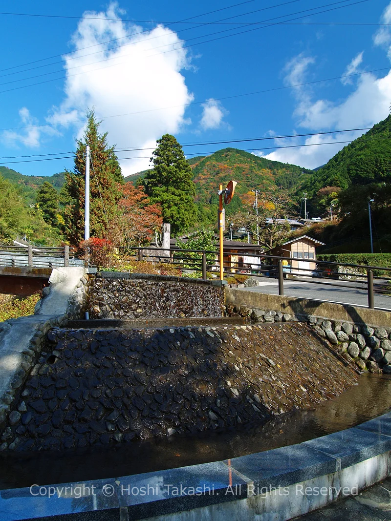 有東木の有水園